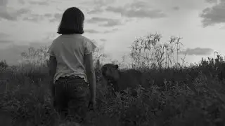 &lsquo;The Message&rsquo;: first trailer for Iv&aacute;n Fund road movie