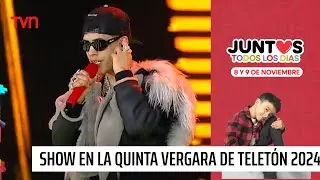 Revive el show en la Quinta Vergara de Viña del Mar | Teletón 2024