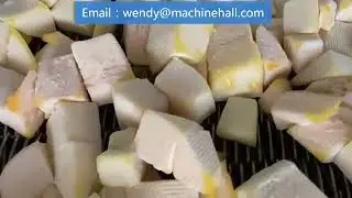 Mango IQF Processing Line