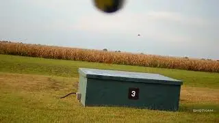 216 SHOTGUN VIC