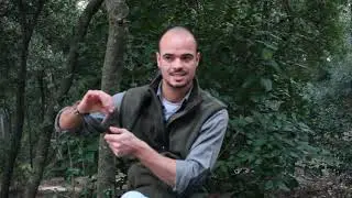 Como afilar el hacha!! 🌲🌲www.PlayD.es Cursos de Supervivencia y Bushcraft en Barcelona Catalunya