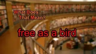 What does free as a bird mean?