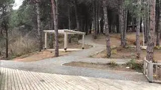 Araklı Trup Mevkii  