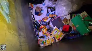 Ежедневный поиск полезных вещей в мусорных контейнерах в надежде спасти их от попадания на свалку...