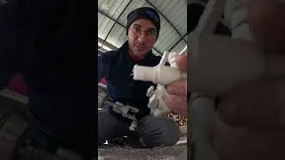 Pprc diş &ccedil;ekme klavuzu