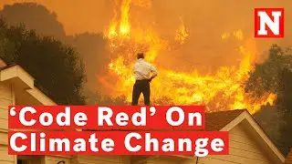 &lsquo;Code Red For Humanity&rsquo; On Climate Change: 5 Key Takeaways From UN Report