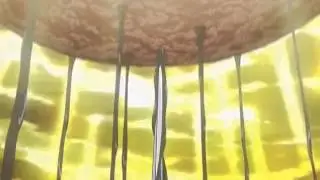 Saint October - Loli Black Transformation