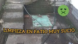LIMPIEZA EN PATIO ABANDONADO. 😵🪣🧹