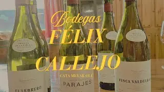 BODEGAS F&Eacute;LIX CALLEJO