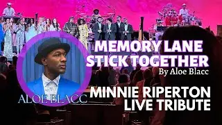 Aloe Blacc | Memory Lane | Stick Together | Кавер на песню Минни Рипертон | Живое выступление