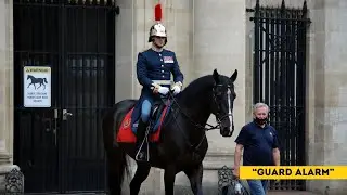 Man in Full-Face Balaclava Grabs the Reins&mdash;The King&rsquo;s Guard Shouts