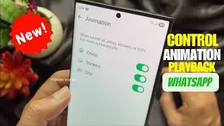 How to Control Chat Animation Playback for GIFs, Emojis, and Stickers on WhatsApp