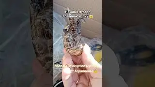#барахолка #винтаж #германия #обзор #бренд   #топ