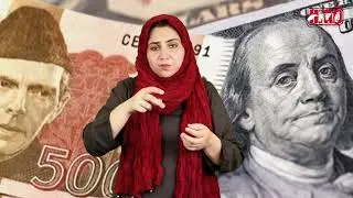 News Headlines in PSL | 20-08-2024 | Hamza Foundation Academy for the Deaf