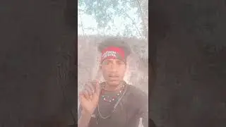 What is an Ame #hindisong #bollywood rican psn.com video