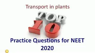 Transport in plants, top 10, neet 2020 practice