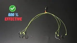 Fishing Knots: How to Tie 6 Hooks for Maximum Fishing Success