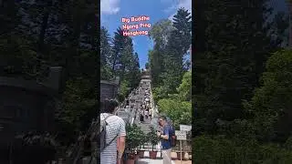 How to get there in Big Buddha Hongkong,from tung chung station take 23 bus to ngong ping  $37 fare