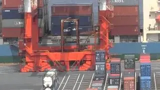 ガントリークレーンの荷役作業を眺める・・・横浜港のD突堤