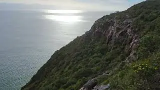 Seal Colonies all the way down - Robberg Penninsila Hike South Africa