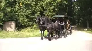 Rondritten Paard en Koets Limburg