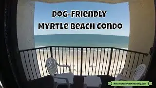 Dog-Friendly Myrtle Beach Vacations | Myrtle Beach Dog-Friendly Beach Condo Review