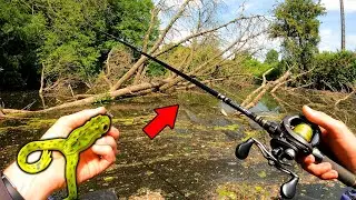 Cette Grenouille déclenche des Attaques Violentes dans les Branches !!! (Pêche en surface)