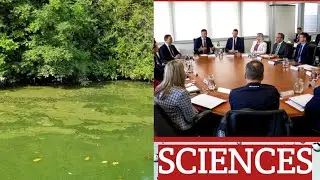 &lsquo;Staggered&rsquo;: SA&rsquo;s most senior public servants rule out algal bloom political interference