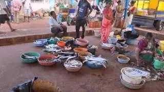 Devgad fish market...🐋🐬🦐🦀| Different types of 🐋 r available in market....|