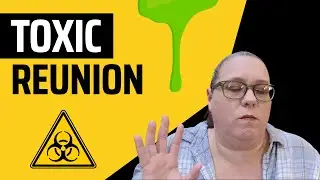 When the Person You Find is Toxic - Adoption Reunion - Birthmom Stories
