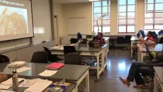 Dorothy Sand crab lecture