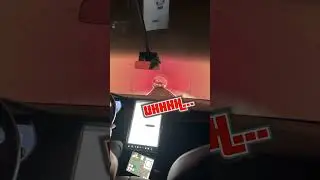 TRAFFIC JAM In The Tesla Hyperloop?! Las Vegas CES