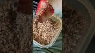 Iykyk #strawberry #spicysalt