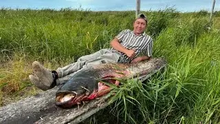 Рыбалка в Алматы! Протока Ир, низовья реки Или, Балхаш!