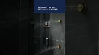Grohe Shower Body Jets