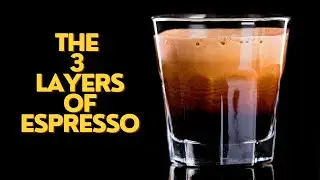 The 3 Layers of Espresso Explained !