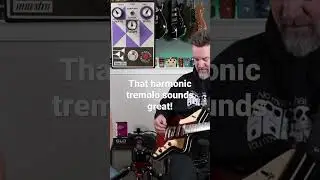 Maestro harmonic tremolo!