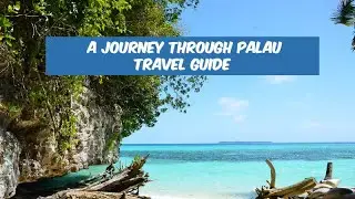 A Journey Through Palau: Travel Guide