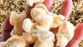 Flowering Snacks Machine; cheese balls machine, puffed food machinery;corn puffs machine;