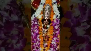 Maa kothari #song #newsong #love #live