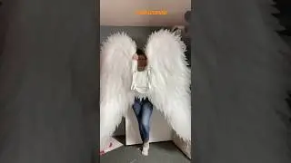 Full video on my channel🤩 #diy #wings #shorts #diywings #angelwings #shortsyoutube #reels #trending
