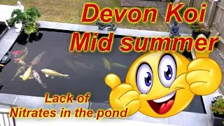 # DIY KOI POND FILTER *** EASY POD *** UPGRADE EAZYPOD***POND FILTER SYSTEM***POND SKIMMER***
