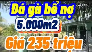 Đá gà bể nợ nhà cấp 4 + 5.000m2 mặt tiền đường dal điện nước đầy đủ huyện gò Quao tỉnh kiên Giang củ