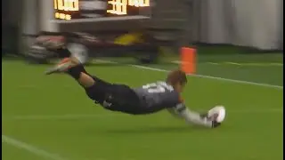 Travis Carpenter Huge Layout Goal | Week 6 AUDL