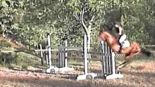 Triple Twist TB Stallion