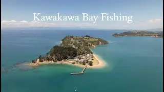 kawakawa bay fishing