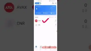 How add Custom Token on token Pocket wallet....i will show Avax network