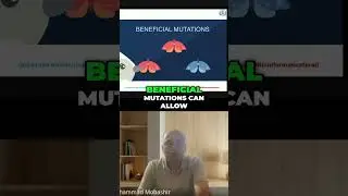 DNA Repair: How Your Cells Prevent Cancer & Aging #videos #biology #neet #science #viralvideo #viral