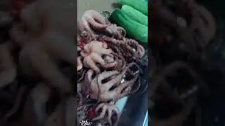 Spider squid🐙 Food Cooking#shorts #video