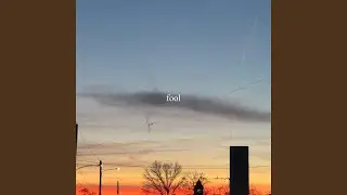 Fool
